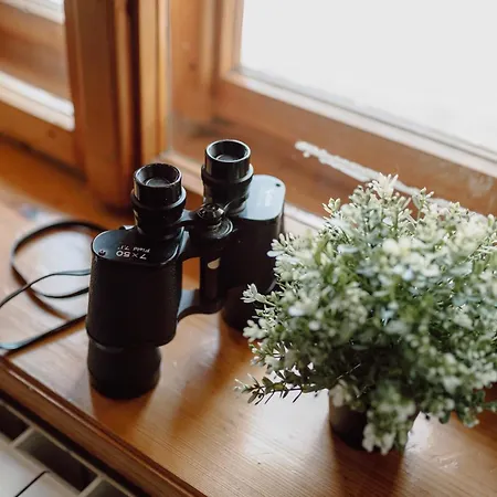 Willa Juszczyn Juszczyn