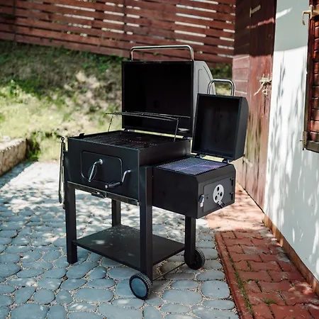 Willa Juszczyn 度假居