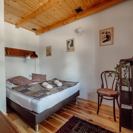 Willa Juszczyn 度假居 *