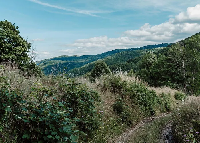 Vakantiehuis Willa Juszczyn